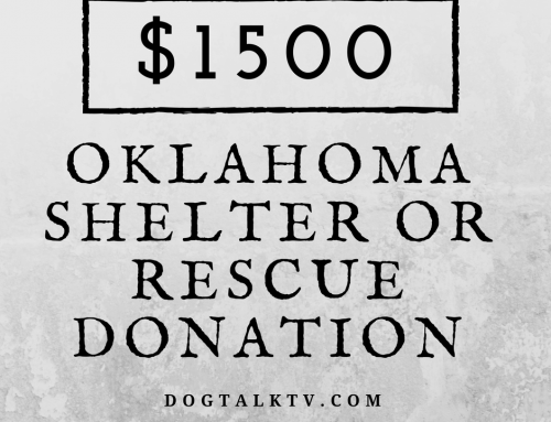 $1500 Shelter/Rescue Giveaway Contest Rules