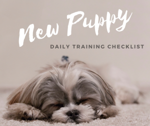 New Puppy Daily Checklist