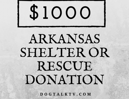$1000 Arkansas Shelter or Rescue Donation Contest Rules