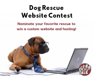 Dog Rescue Website Contest!