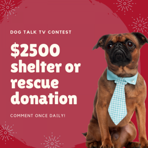 $2500 shelter or rescue donation