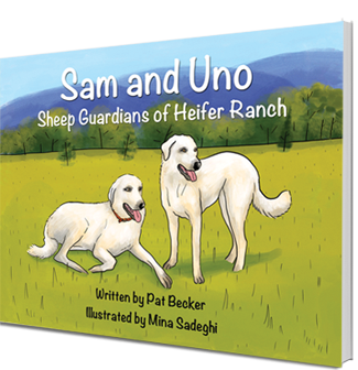 Sam and Uno