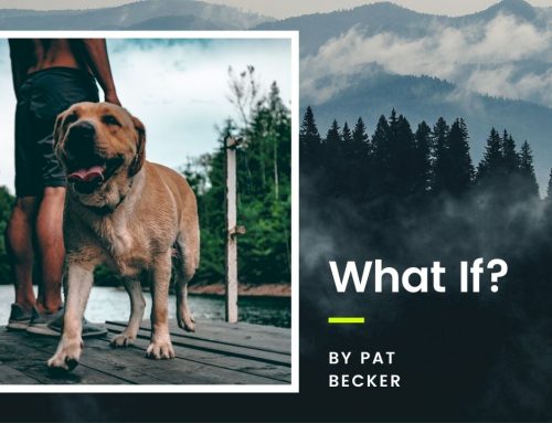 What If? by Pat Becker