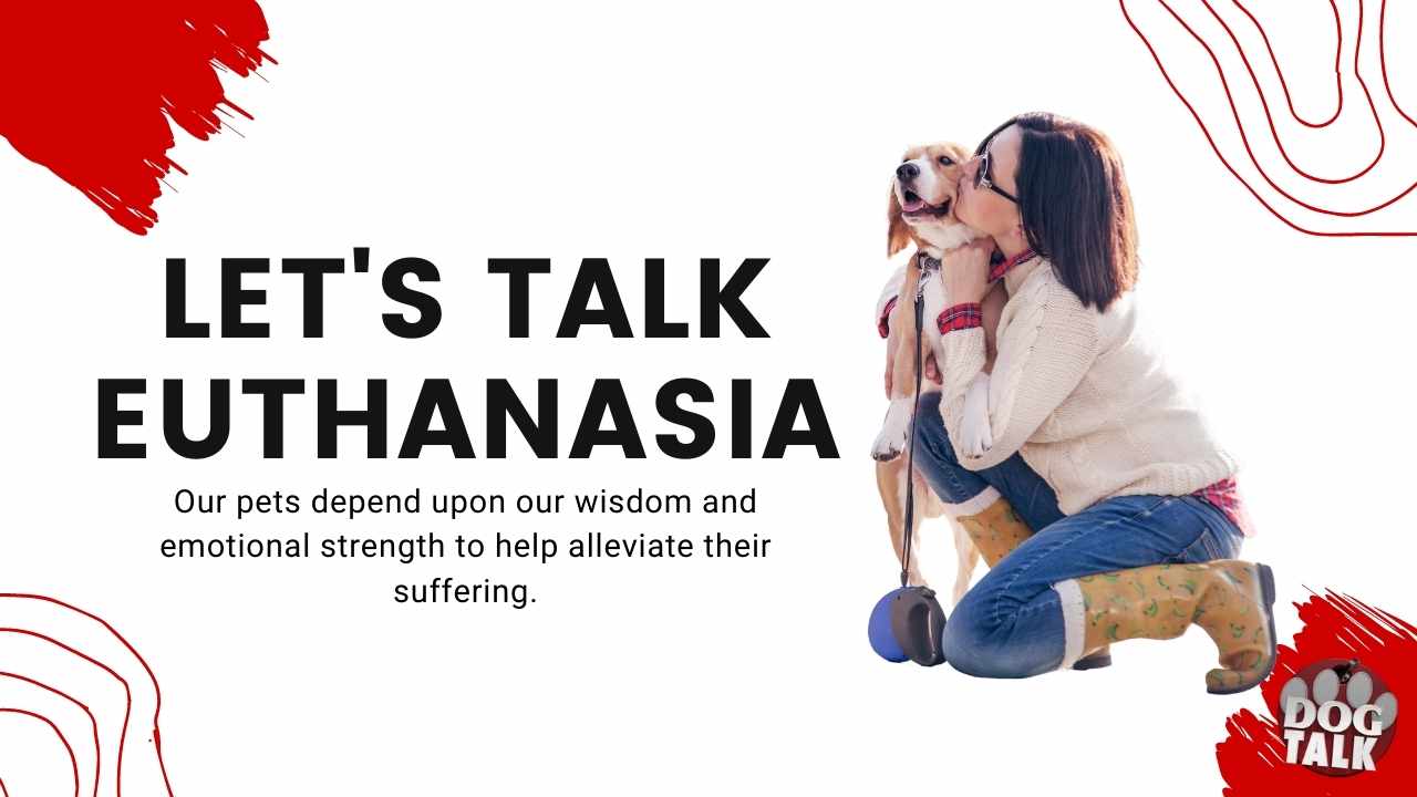 let's talk euthanasia