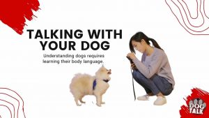 talking with your dog