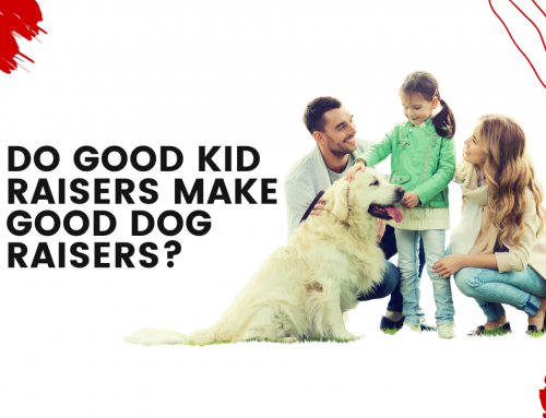 Do Good Kid Raisers Make Good Dog Raisers?