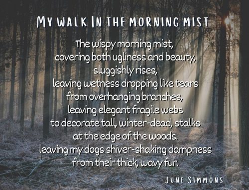 My Walk In The Morning Mist