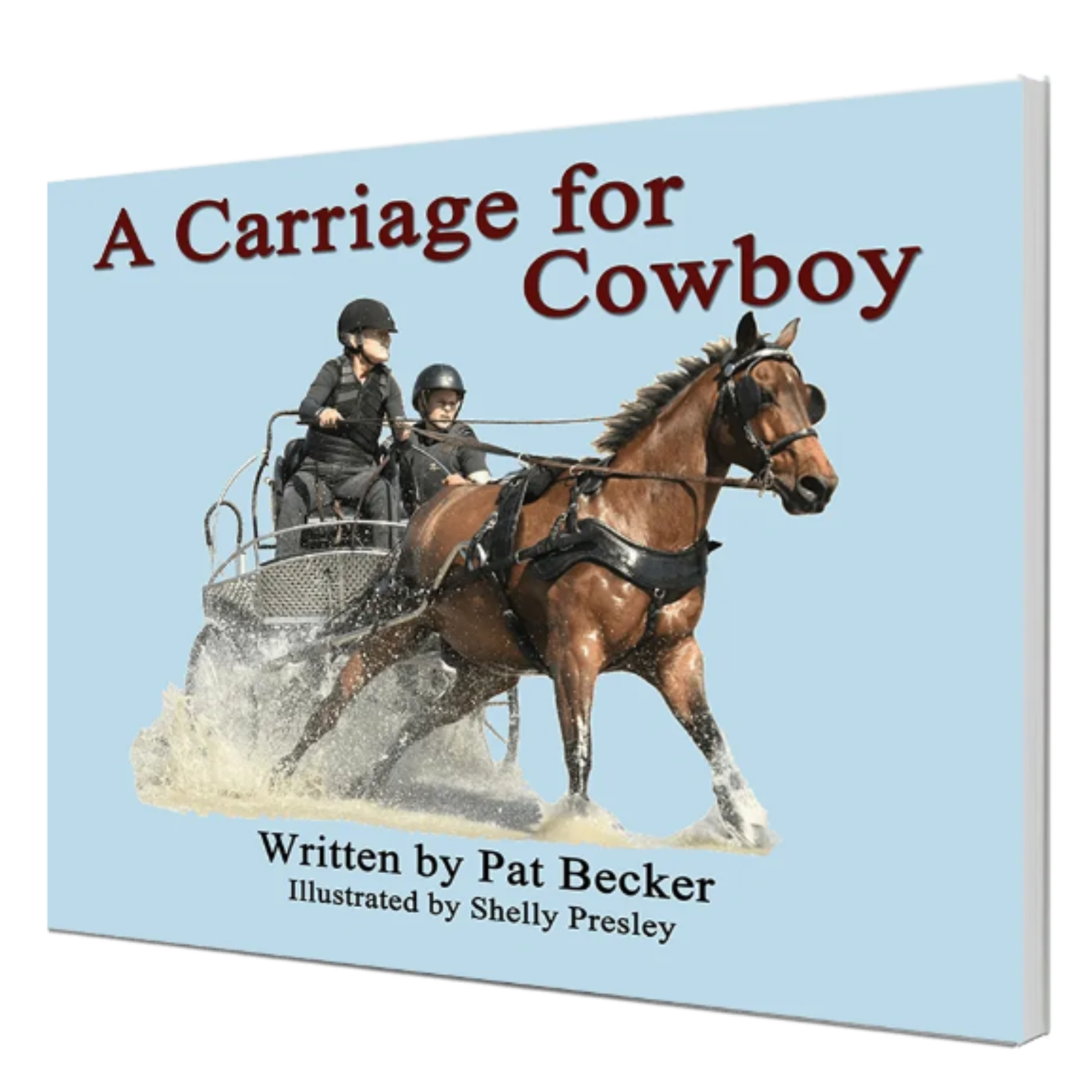 A Carriage for Cowboy