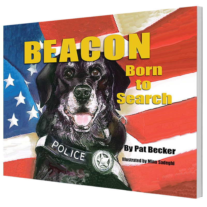 Beacon: Born to Search
