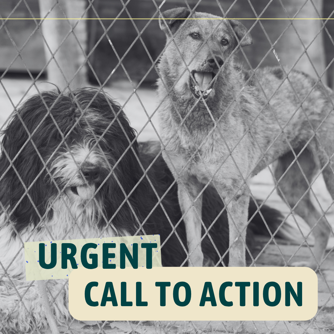 Vote NO on Oklahoma House Bill 4335