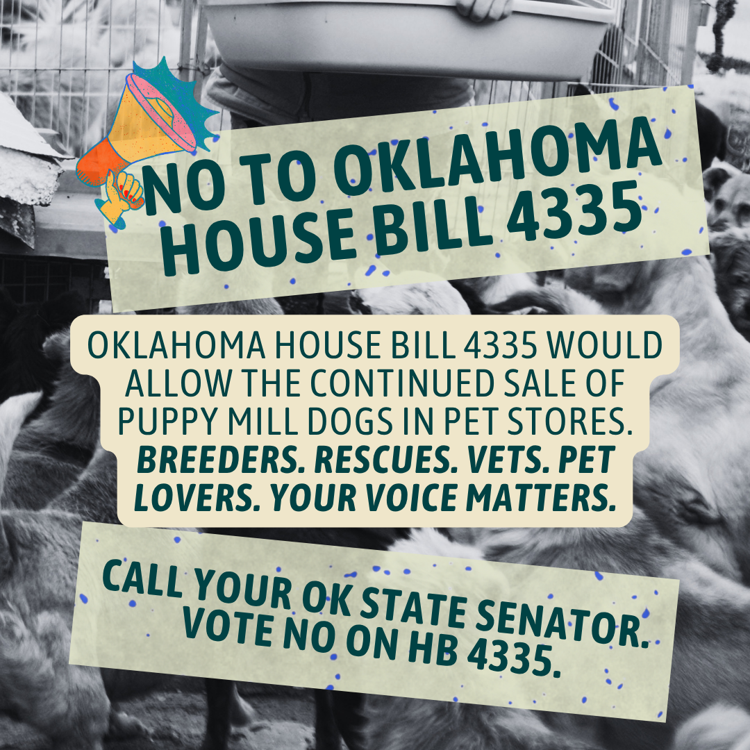 Urgent call to action