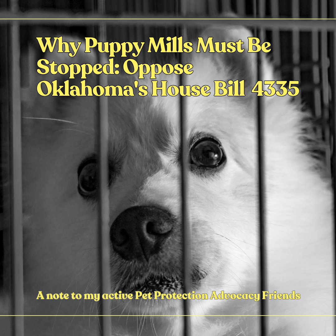 Why Puppy Mills Must Be Stopped: Oppose Oklahoma’s House Bill 4335