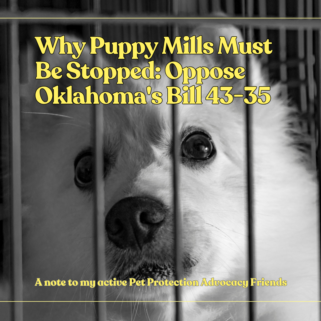 Why Puppy Mills Must Be Stopped: Oppose Oklahoma’s Bill 43-35