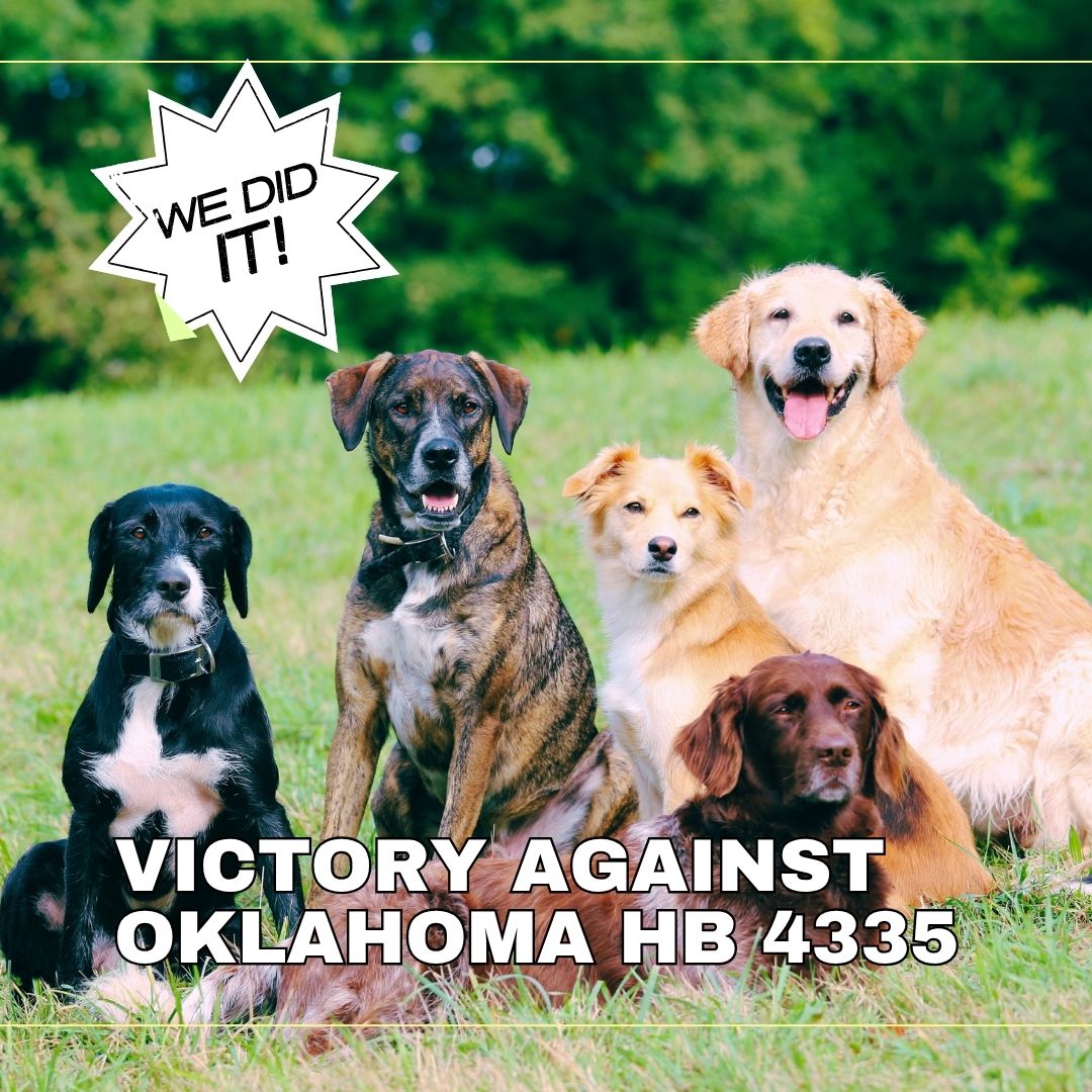 Victory Against Oklahoma HB 4335 | Fighting Puppy Mills in Oklahoma